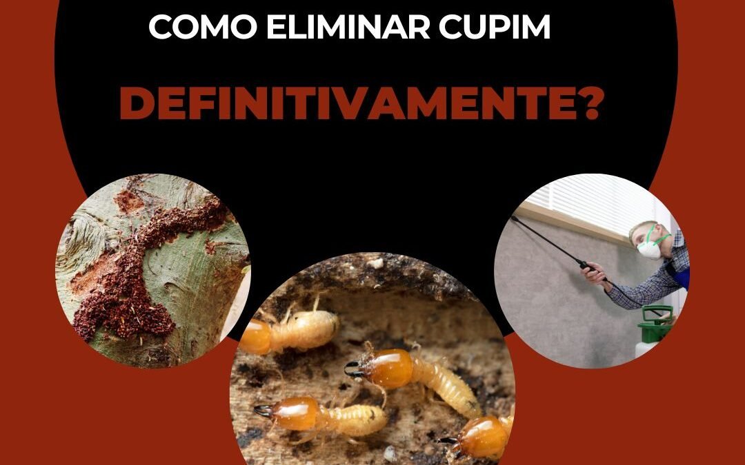 como eliminar cupim definitivamente?