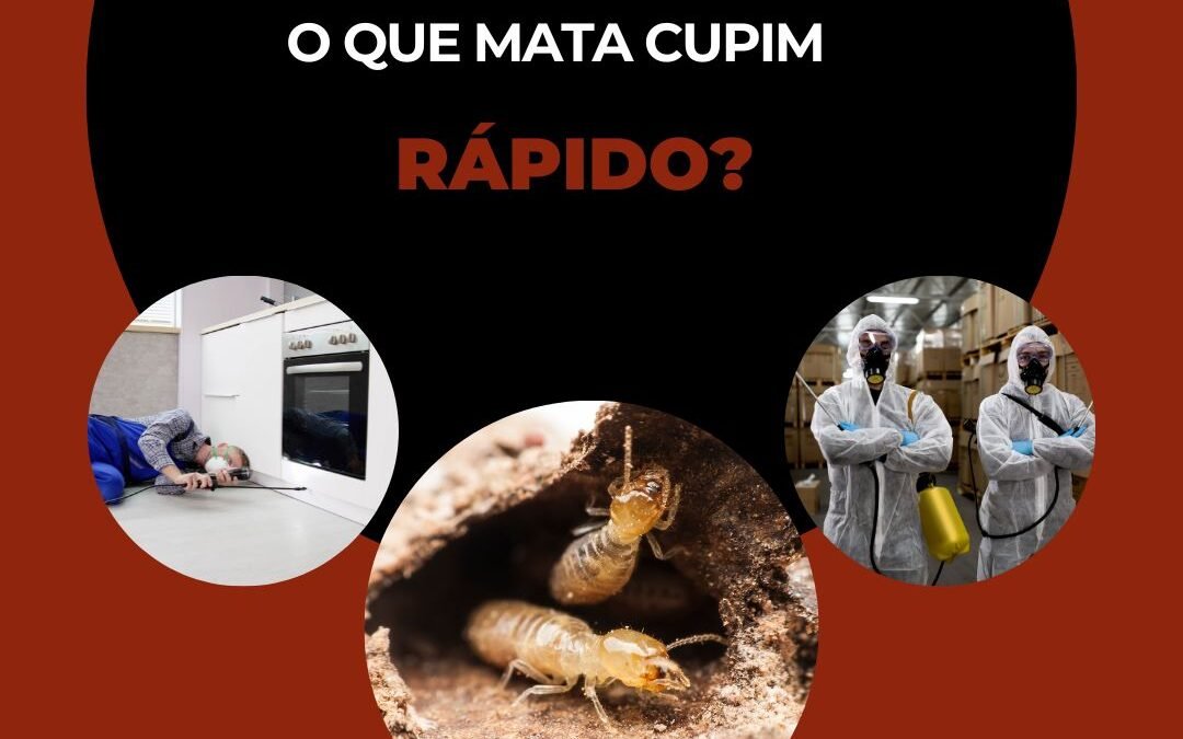 O que mata cupim rápido?