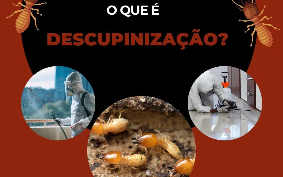 O que é descupinização?