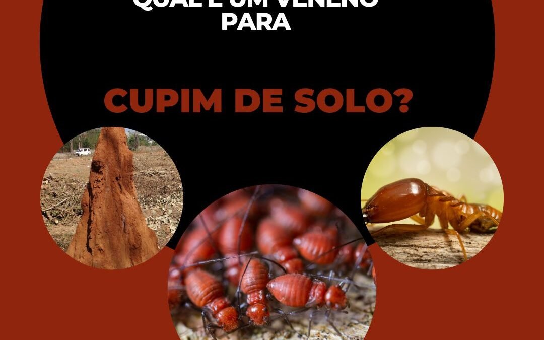Qual é o veneno para cupins de solo?