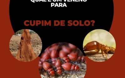 Qual é o veneno para cupins de solo?