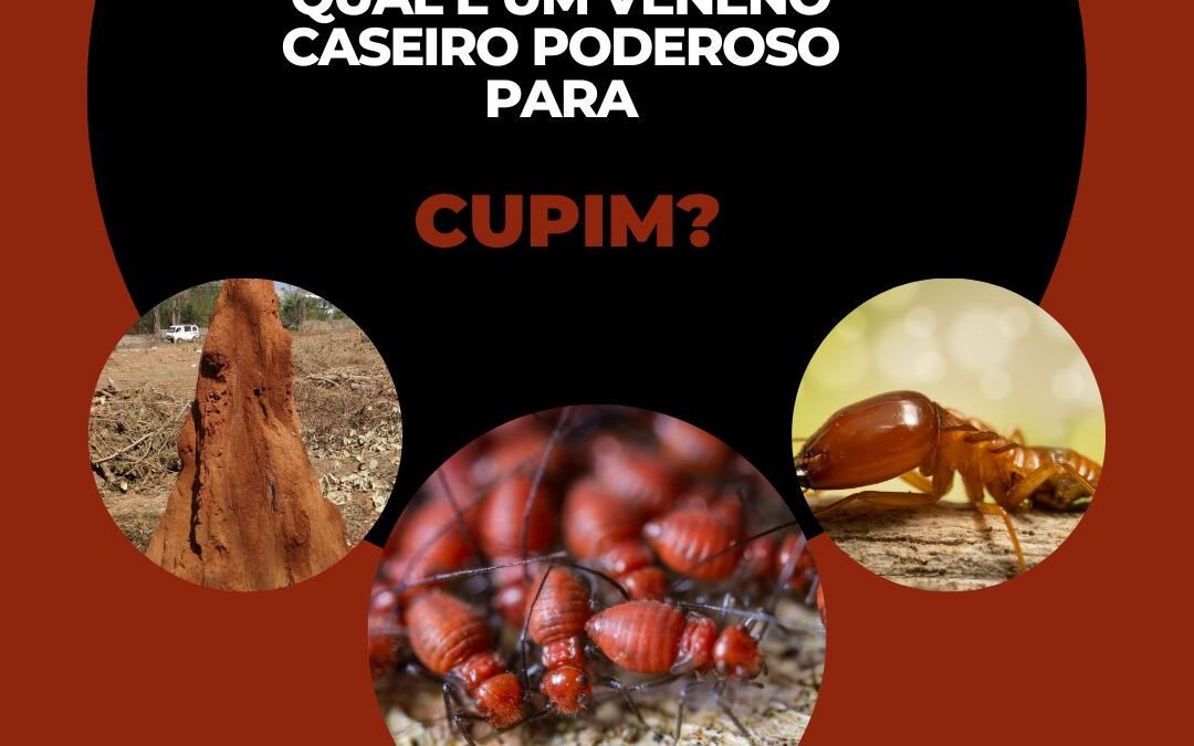 Qual é um veneno caseiro poderoso para cupins?