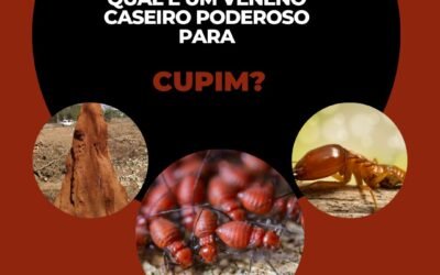 Qual é um veneno caseiro poderoso para cupins?