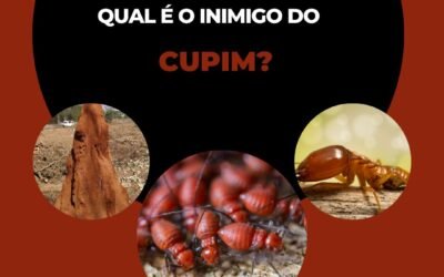 Qual é o inimigo do cupim?