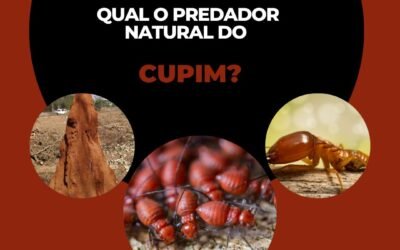 Qual o predador natural do cupim?