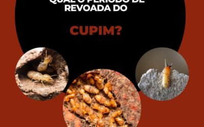 Qual é o período da revoada dos cupins?