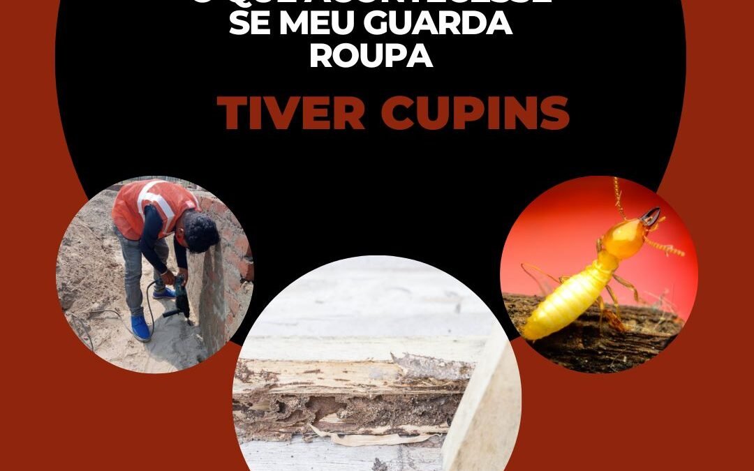 O que acontece se meu guarda-roupa tiver cupins?