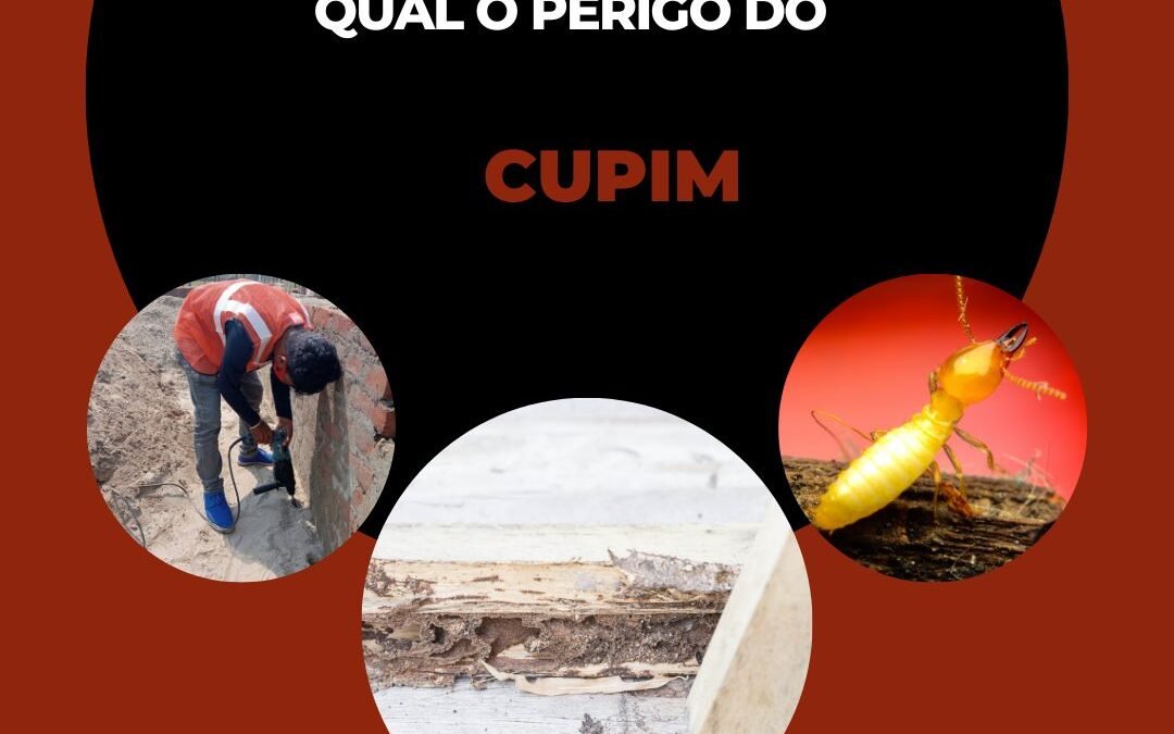 Qual o perigo do cupim?