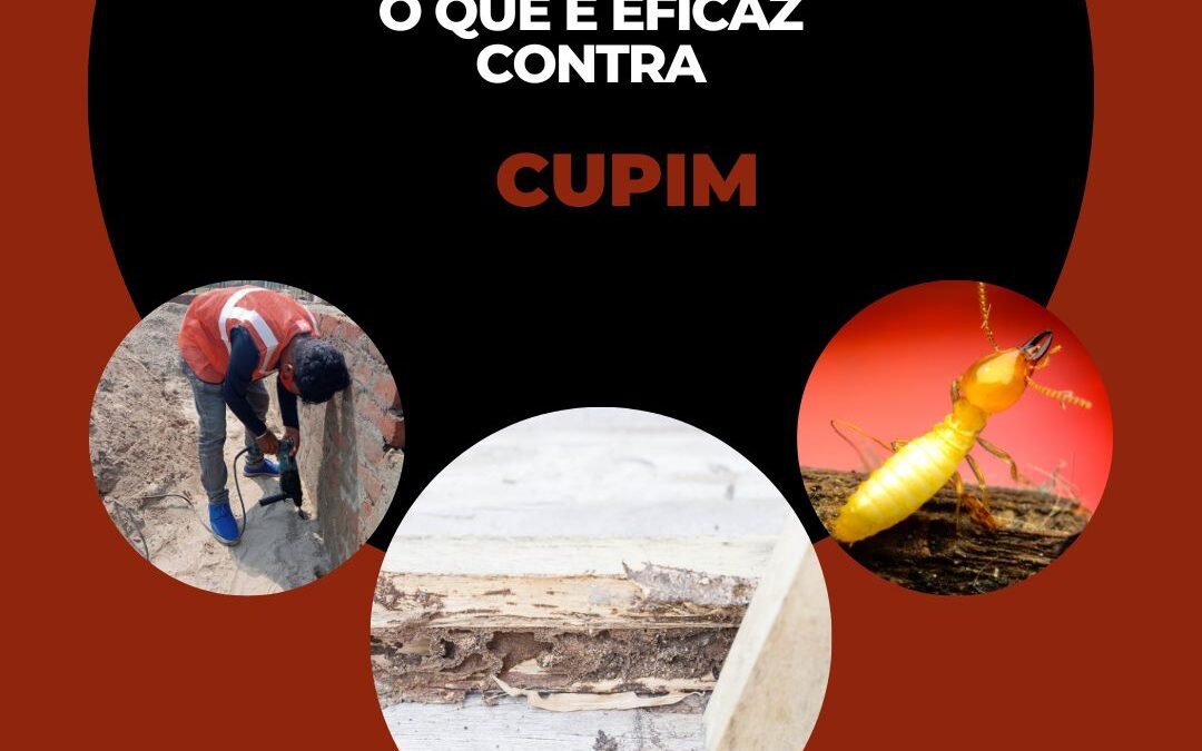 O que é eficaz contra cupim?