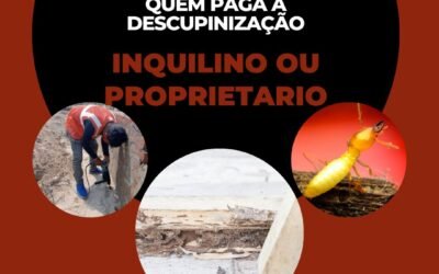 Quem paga a descupinização, inquilino ou proprietário?