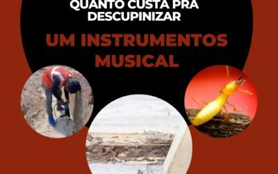 Quanto custa para descupinizar um instrumento musical?