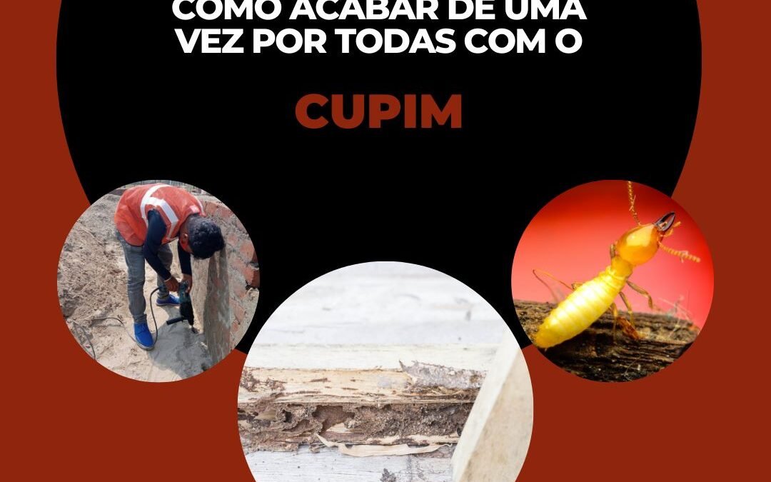 O que fazer para o cupim ir embora?