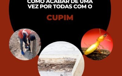 O que fazer para o cupim ir embora?