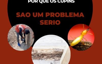 Por que os cupins são um problema sério?