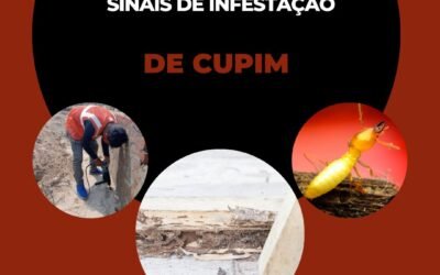 Sinais de Infestação de cupim
