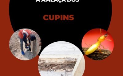 A Ameaça dos Cupins