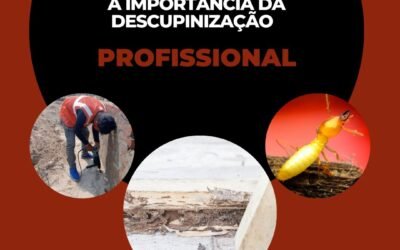 A Importância da Descupinização Profissional
