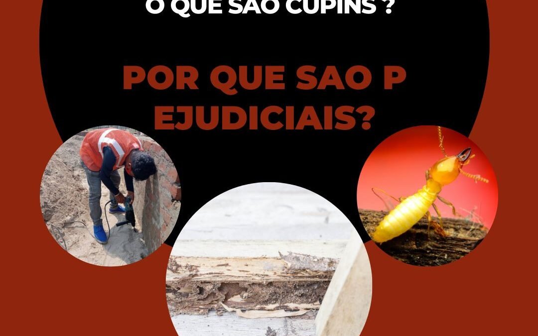 O Que São Cupins e Por Que Eles São Prejudiciais?
